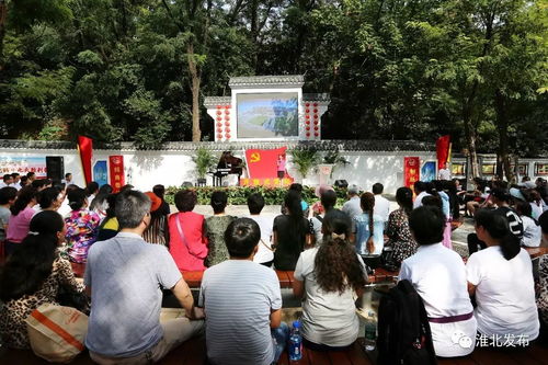 小布掀起社會經濟咨詢新風潮，今日重磅新聞引發行業關注